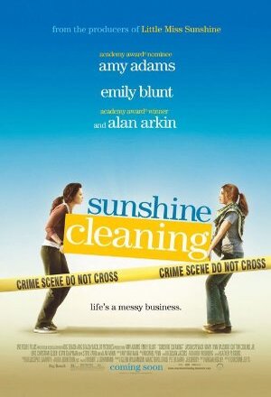 Sunshine Cleaning nude scenes
